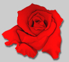 Rose painting by Benini: Fire and Light: Fire