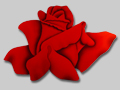 Roses in Paintings by Benini: Rosa Dei Venti