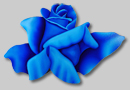 Paintings of Roses: Rosa Magnifica