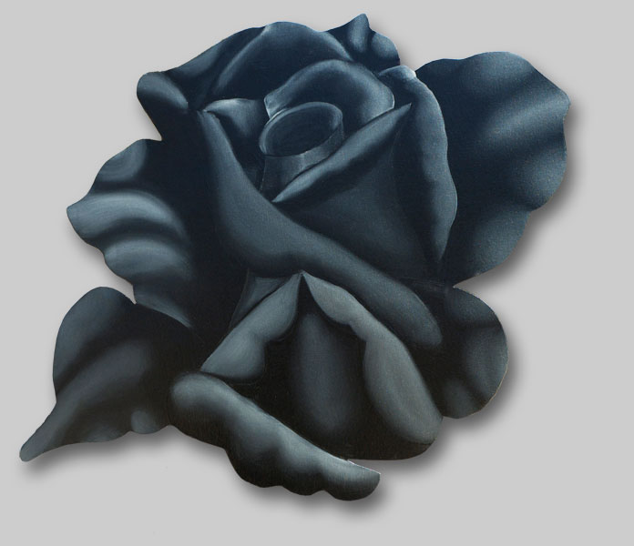 Roses in Paintings: Bella Tenebrosa