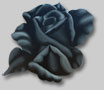 Roses in Paintings by Benini: Bella Tenebrosa 