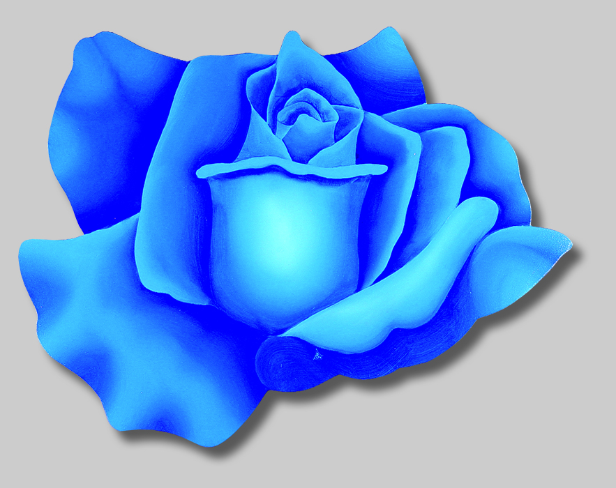 Roses in Paintings: Rosa Armoniosa