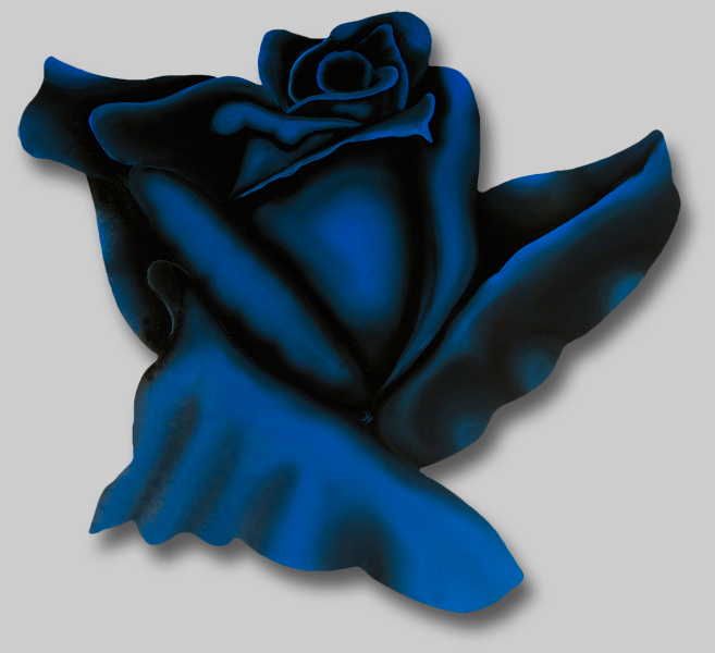 Roses in Paintings: Midnight Rose