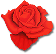 Rosa Classica by Benini